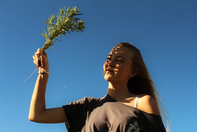 白天穿着黑色衬衫手持绿色植物的妇女